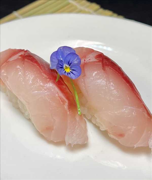 Striped Bass